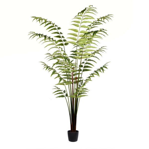 Green Leather Fern with 279 Leaves in Black Pot, image 1