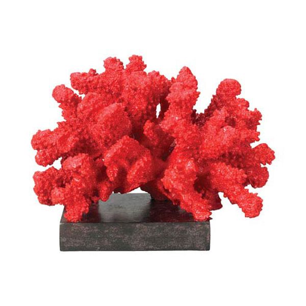 Fire Island Coral, image 1