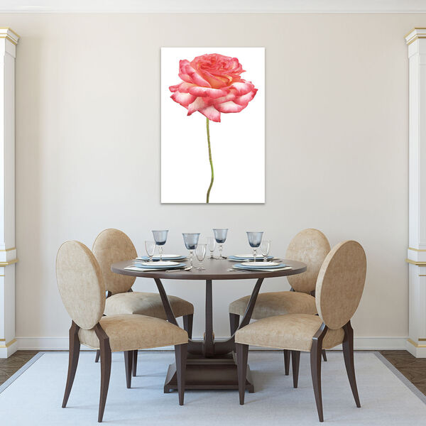 Pink Rose on White Frameless Free Floating Tempered Glass Graphic Wall Art, image 4
