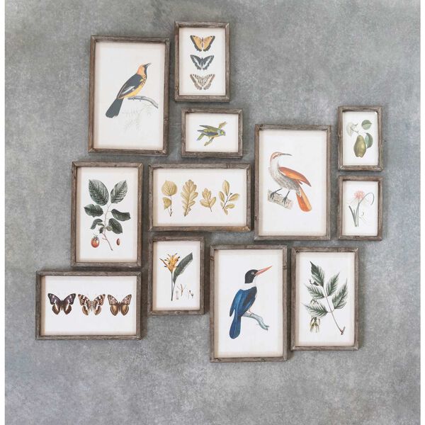 Multicolor 12 x 18-Inch Insects, Birds, Plants and Fruit Wall Decor, Set of 12, image 3