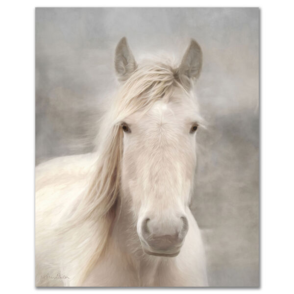 White Beauty I Gallery Wrapped Canvas, image 2