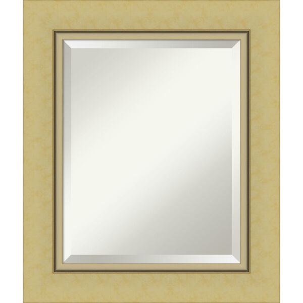 Landon Gold 22W X 26H-Inch Bathroom Vanity Wall Mirror, image 1