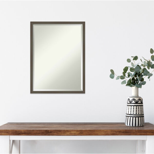 Svelte Gray 19W X 25H-Inch Decorative Wall Mirror, image 3