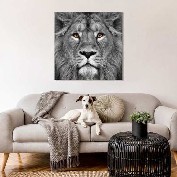 King of the Jungle Lion Frameless Free Floating Tempered Glass Graphic Wall Art, image 3