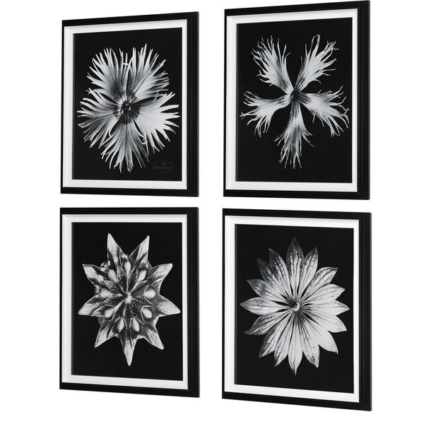 Contemporary Floret Black and White Framed Print, Set of 4, image 3