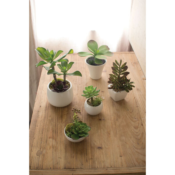 Artificial Succulents with White Ceramic Pots, Set of Five, image 1