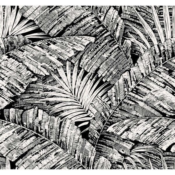 Palm Cove Toile White Black Wallpaper, image 2