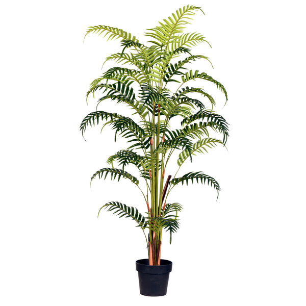 Green 59-Inch Potted Fern Palm Tree, image 1