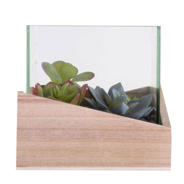 Green Assorted Succulents in Glass and Wood, image 3