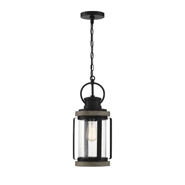 Isabella Black and Gray One-Light Outdoor Pendant, image 1