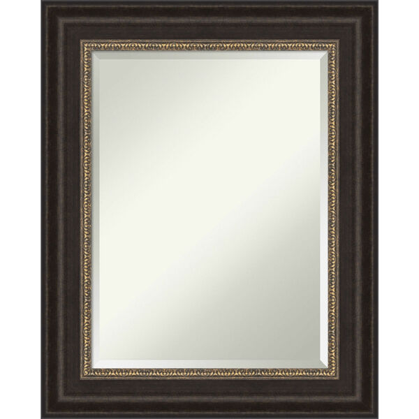Paragon Bronze 25W X 31H-Inch Bathroom Vanity Wall Mirror, image 1