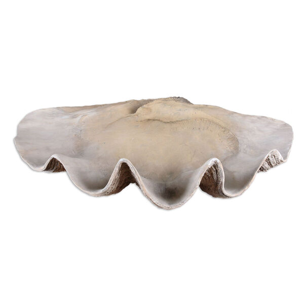 Clam Antique White Shell Bowl, image 1