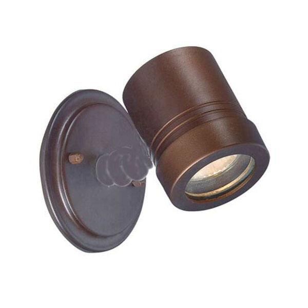 Architectural Bronze One-Light Outdoor Wall Mount, image 1