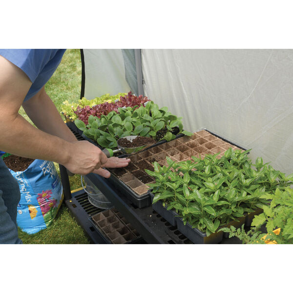 Translucent Grey Organic Growers Greenhouse, image 3