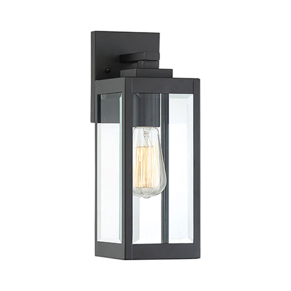 Pax Black 14-Inch One-Light Outdoor Wall Lantern with Beveled Glass, image 1