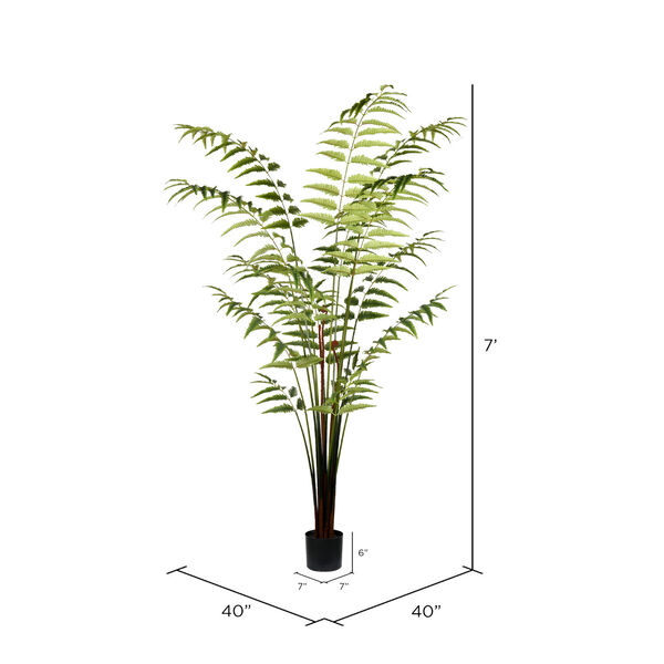 Green Leather Fern with 279 Leaves in Black Pot, image 2