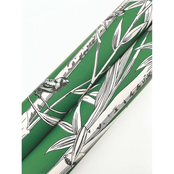 Bambou Toile Green Wallpaper, image 5