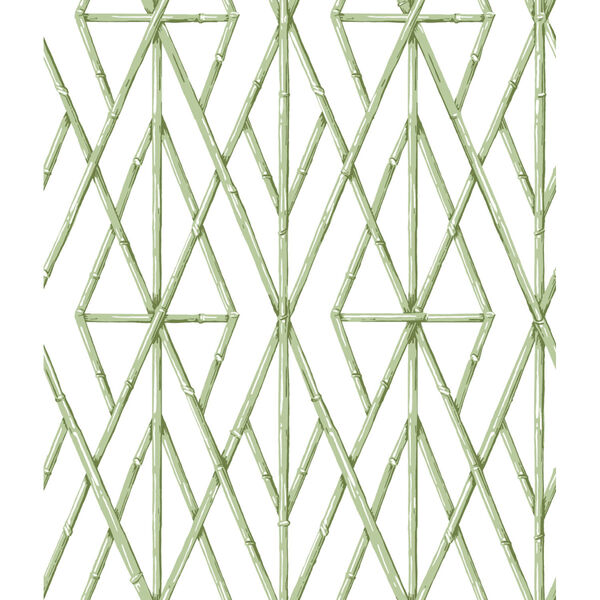 Waters Edge Green Riviera Bamboo Trellis Pre Pasted Wallpaper - SAMPLE SWATCH ONLY, image 2