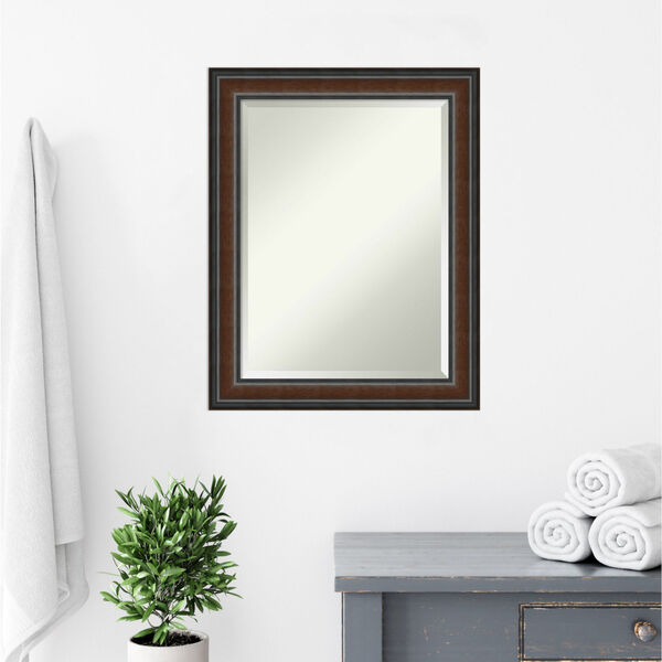 Cyprus Walnut 23W X 29H-Inch Bathroom Vanity Wall Mirror, image 5