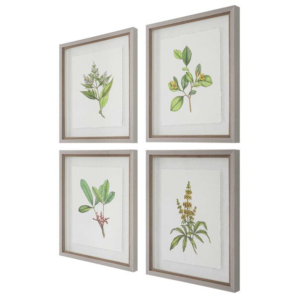 Wildflower Study Light Gray Framed Prints, Set of 4, image 4