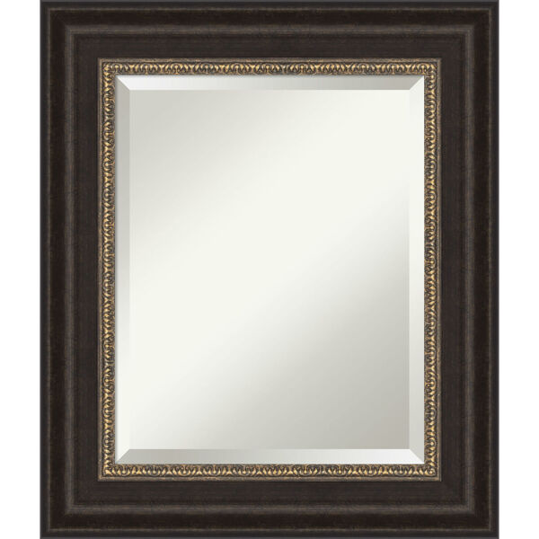 Paragon Bronze 23W X 27H-Inch Bathroom Vanity Wall Mirror, image 1