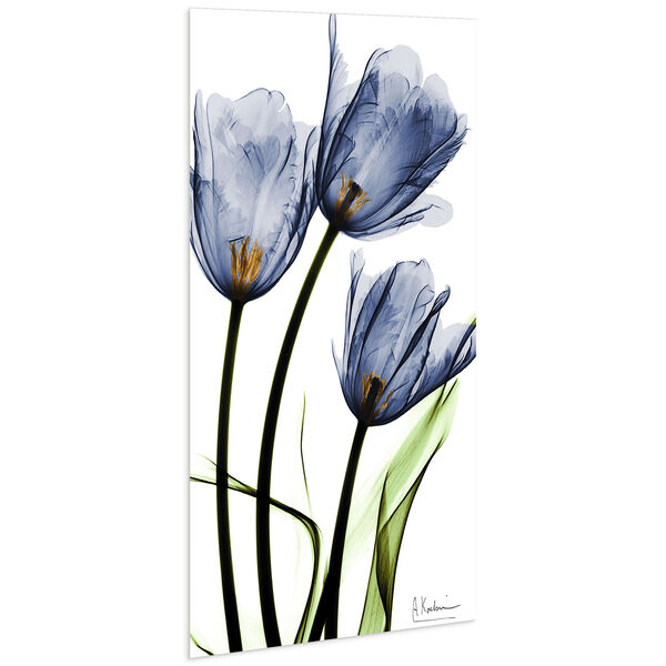 Blue Tulips 48-Inch Frameless Free Floating Tempered Glass Graphic Wall Art, image 3