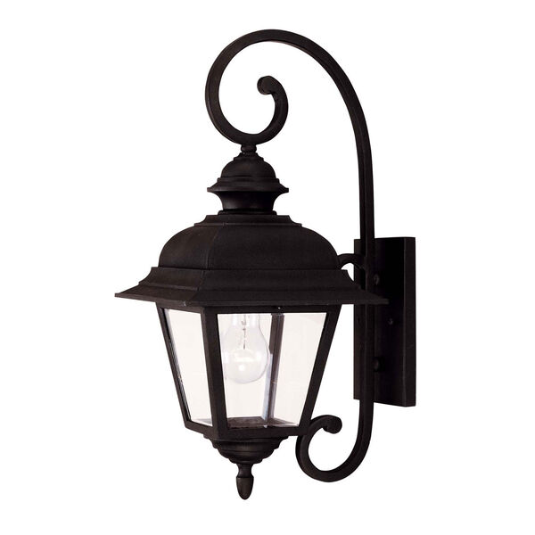 Evelyn Textured Black One-Light Outdoor Wall Sconce, image 1