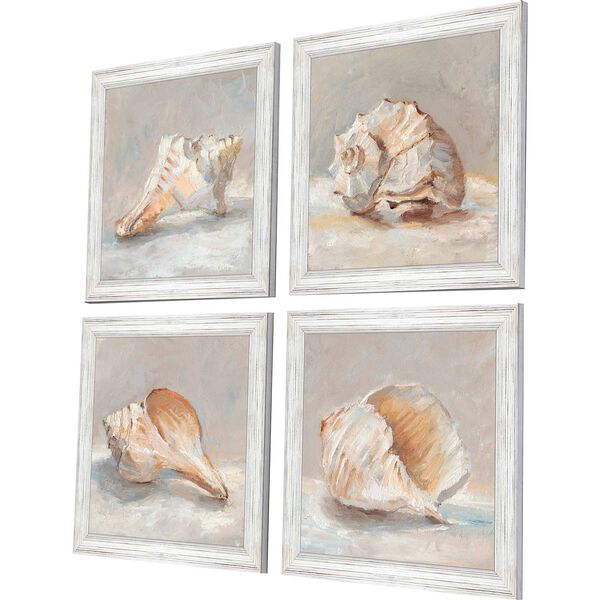 Gray and Cream Shell Study Wall Art, Set of 4, image 3