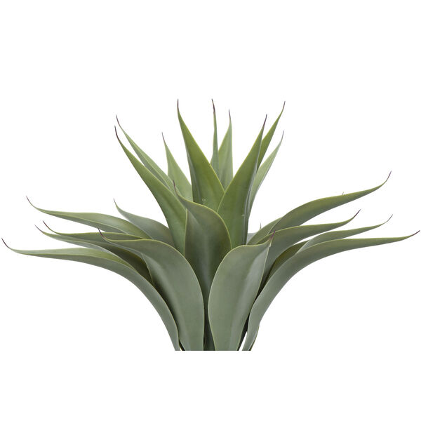 Terrain Faux Agave Plant in Pot, image 4