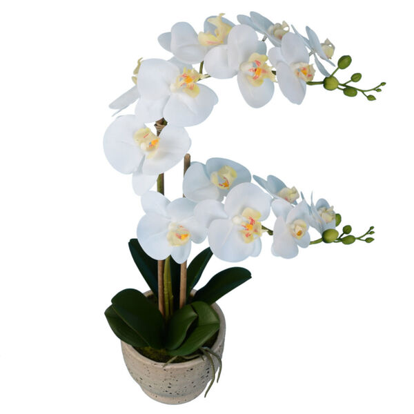 White Real Touch Phalaenopsis in Cement Pot, image 2