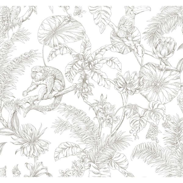Tropical Sketch Toile Brown Wallpaper, image 2