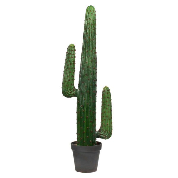 Green Cactus in Gray and Light Red Pot, image 1