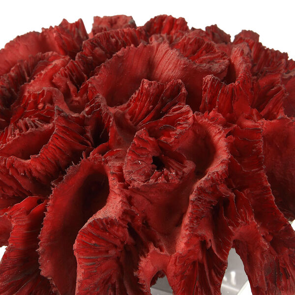 Red Coral Cluster Decorative Accessory, image 5