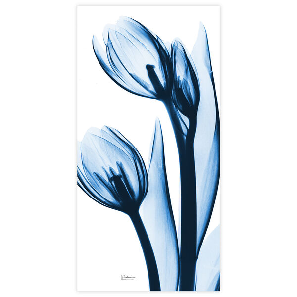Two Blue Tulips Frameless Free Floating Tempered Glass Graphic Wall Art, image 2