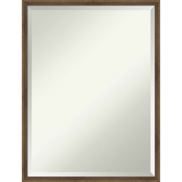 Lucie Bronze 19W X 25H-Inch Bathroom Vanity Wall Mirror, image 1