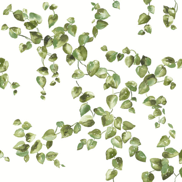 Simply Farmhouse Green and White Creeping Fig Vine Wallpaper, image 2