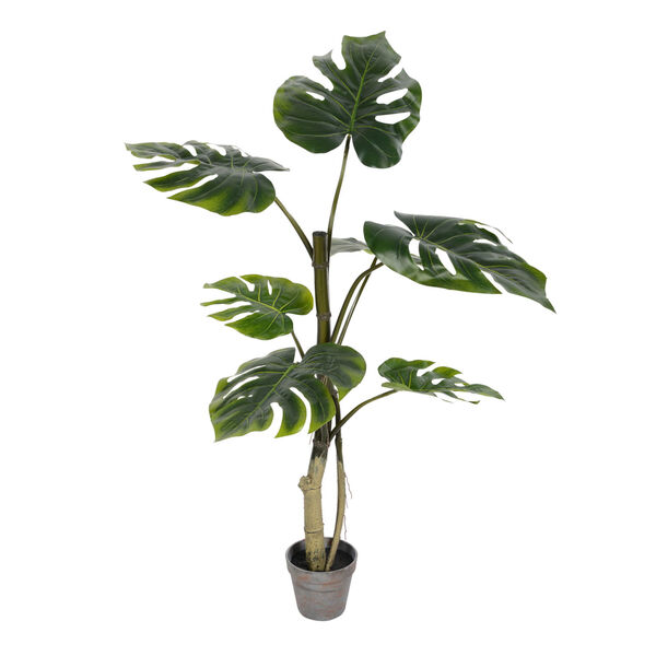 Green 38-Feet Potted Grand Split Philo Tree with 7 Leaves, image 1