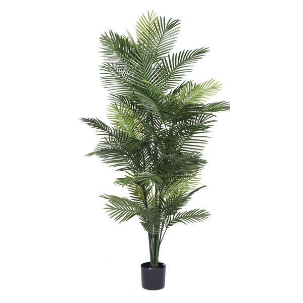 Green Robellini Palm Tree with 57 Leaves, image 1