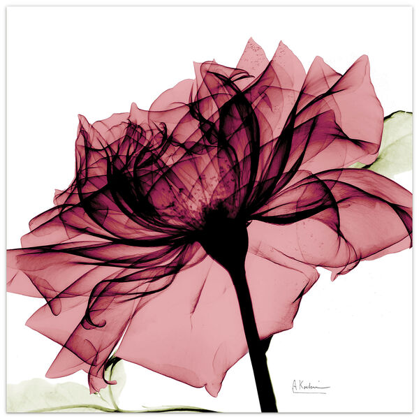 Chianti Rose I Frameless Free Floating Tempered Glass Graphic Wall Art, image 2