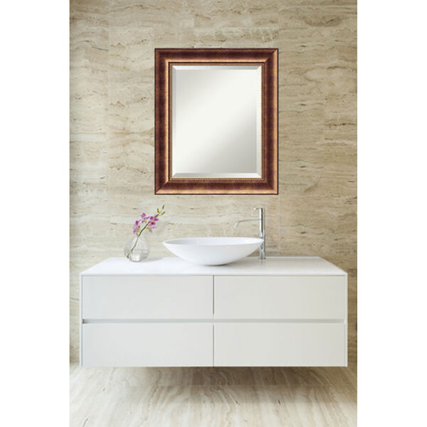 Manhattan Bronze 21.5 x 25.5 In. Bathroom Mirror, image 4