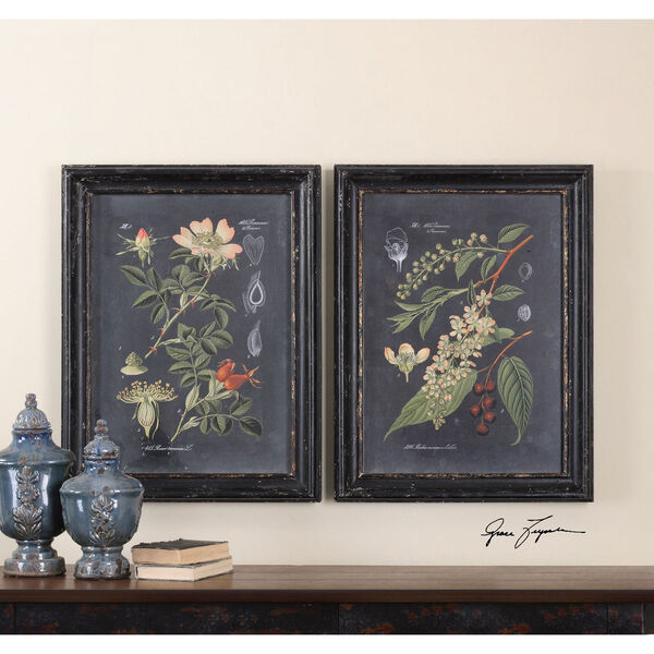 Midnight Botanicals by Grace Feyock: 24.5 x 32.5-Inch Print Reproduction, Set of 2, image 1