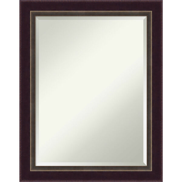 Signore Bronze 22W X 28H-Inch Decorative Wall Mirror, image 1