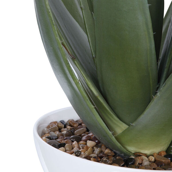 Evarado Glossy White Aloe Planter, image 2