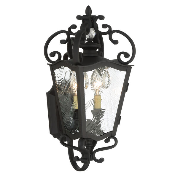 Brixton Ivy Coal with Honey Gold Highlight Two-Light Outdoor Lantern, image 1