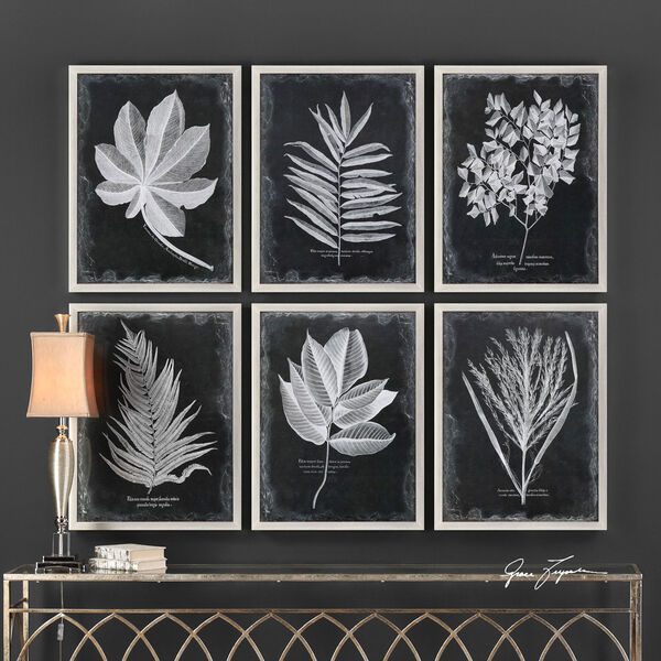 Foliage Framed Prints, Set of Six, image 1