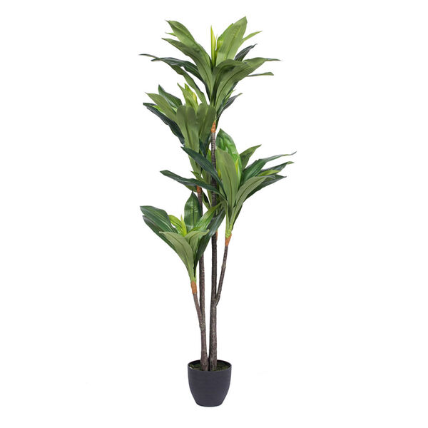 60 In. Real Touch Dracaena, image 1