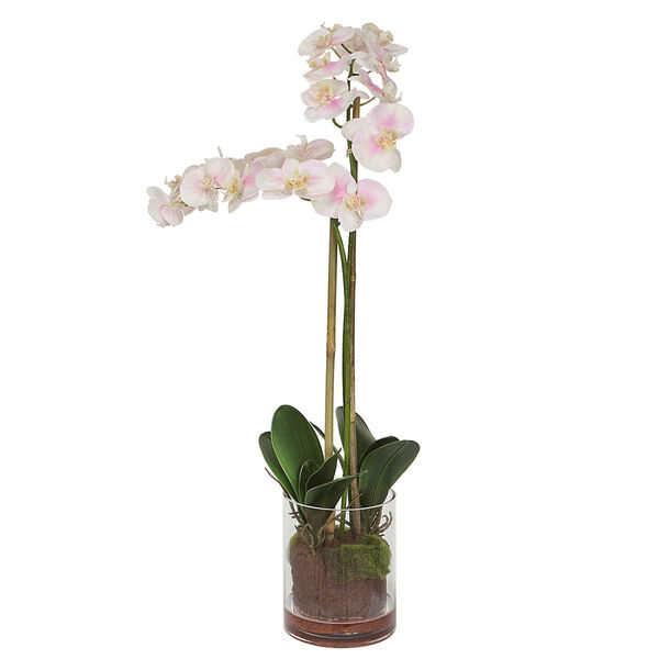 Blush Pink and White Orchids with Glass Container, image 2