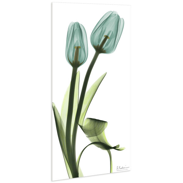 Blue Tulips Frameless Free Floating Tempered Glass Graphic Wall Art, image 3