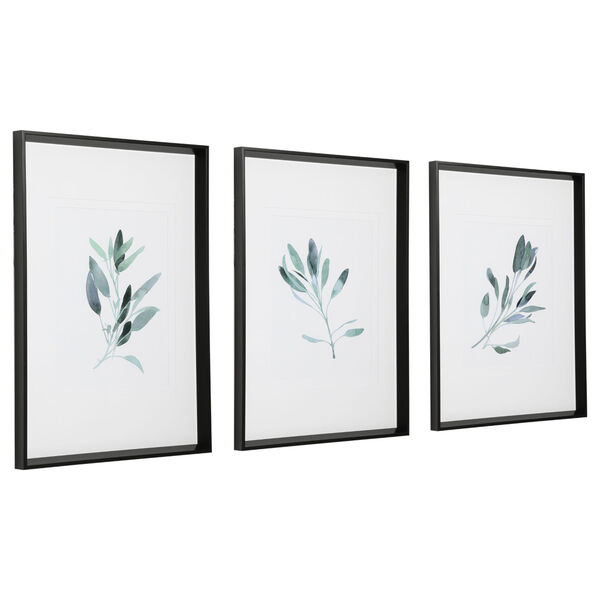 Simple Sage Black and Green Watercolor Botanical Prints, Set of 3, image 4