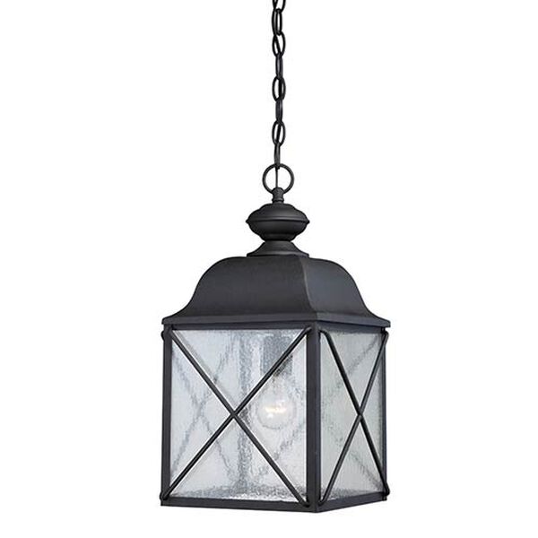 Wingate Textured Black One-Light Outdoor Lantern Pendant with Clear Seeded Glass, image 1